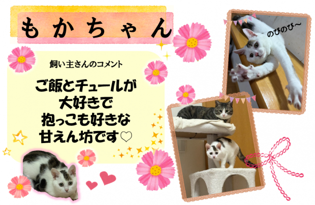 もか
