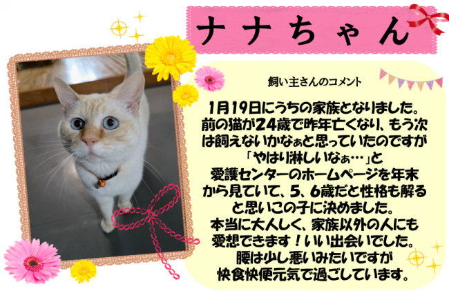 ナナちゃん