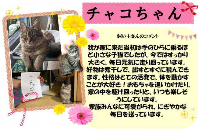 チャコ