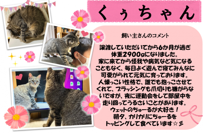 くぅ