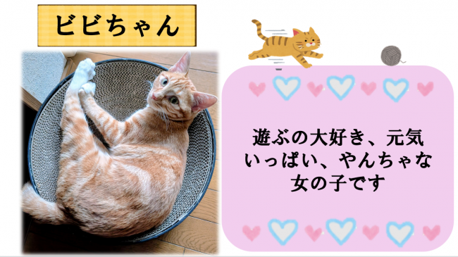 ビビ