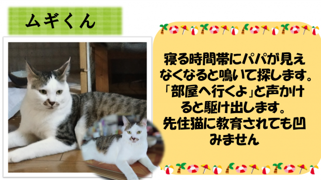 ムギ