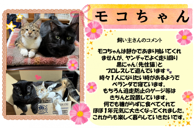 モコ