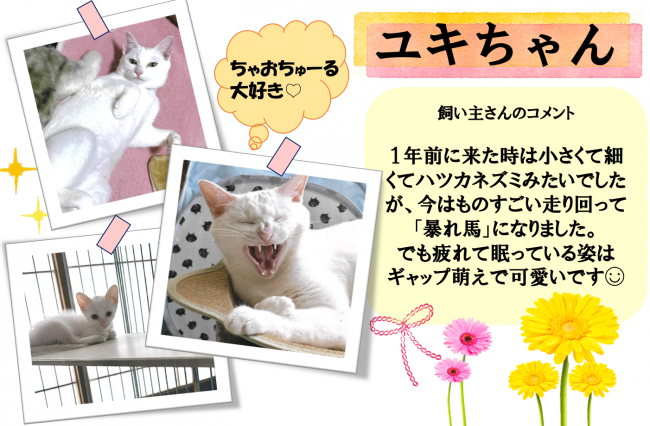 ユキ
