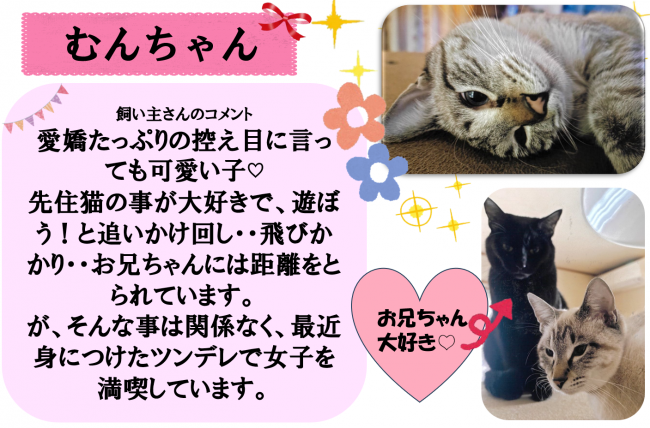 むん
