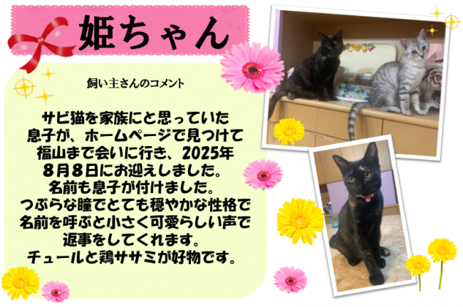 姫ちゃん