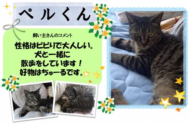 ペル