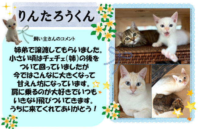 りんたろう