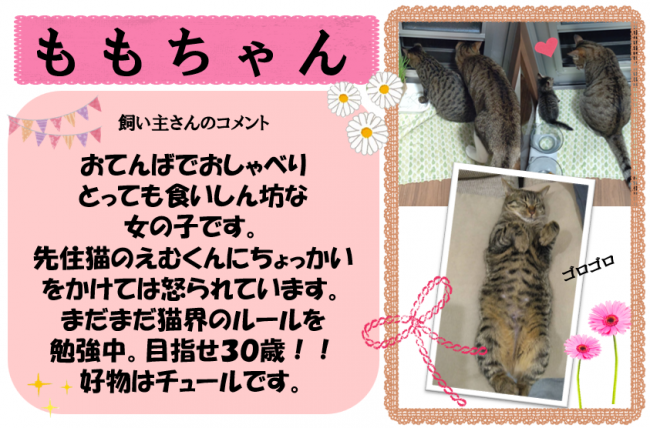 もも