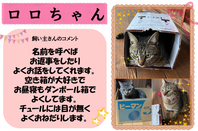 ロロ