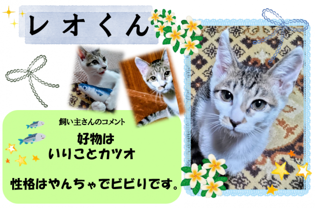 レオ