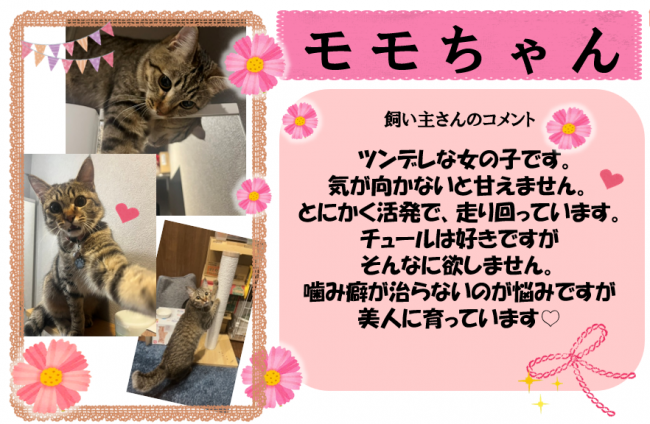 モモ