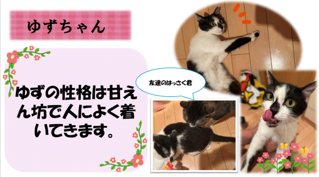 ゆず