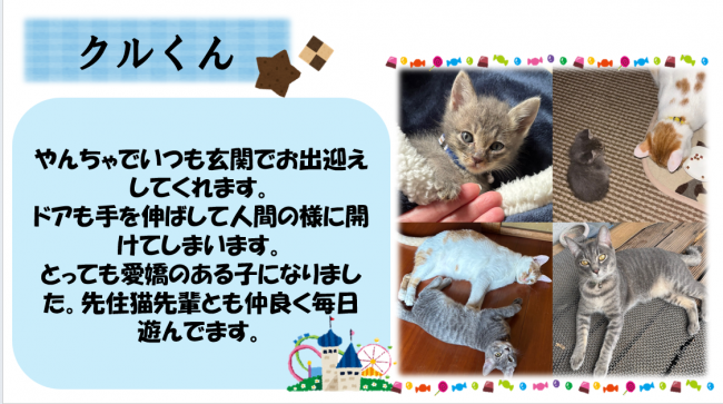 クル