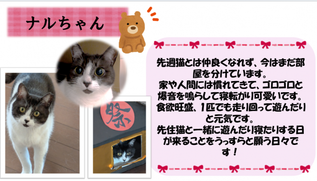 ナル