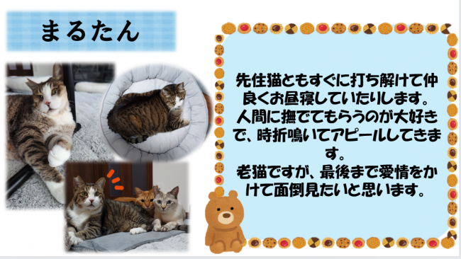 まるたん