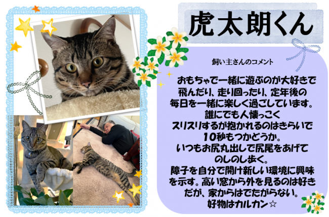 虎太郎