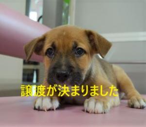 8-32 そら