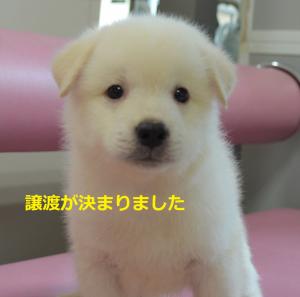 8-23 ルー