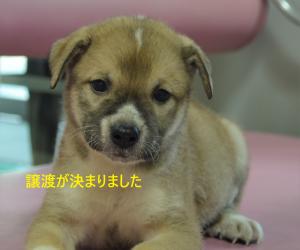 8-25 ベル