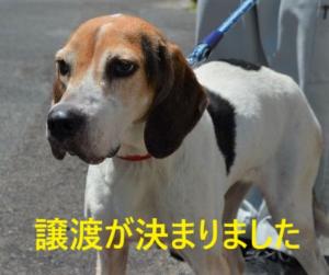 4ｰ21